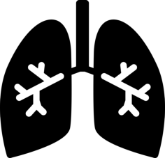 Lungs With Bronchi Outline Svg Vector, Free Vectors File